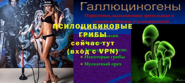 spice Осташков