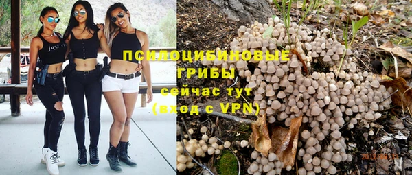 мяу мяу мука Осинники