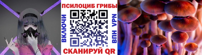 mega онион  Курганинск  Псилоцибиновые грибы GOLDEN TEACHER 
