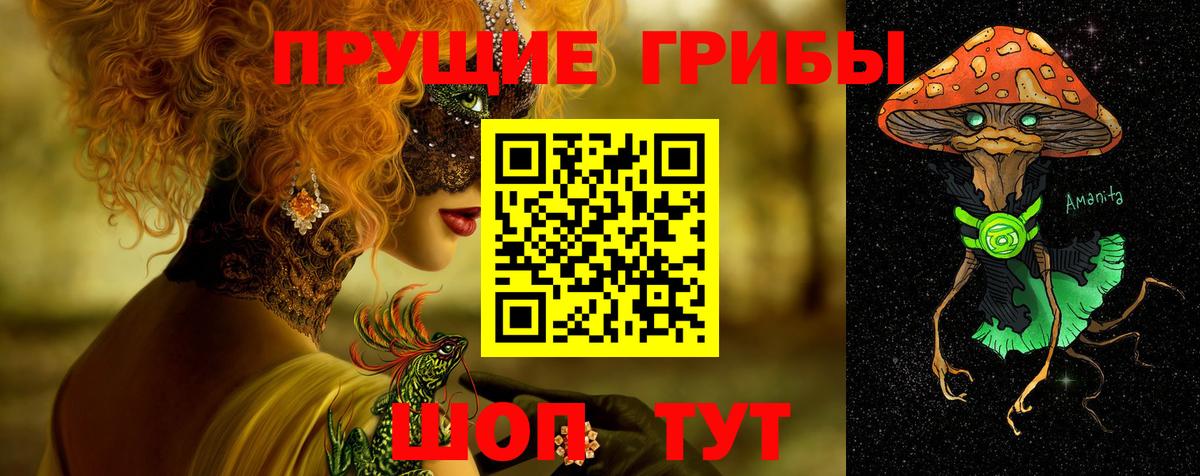 Псилоцибиновые грибы Cubensis Курганинск