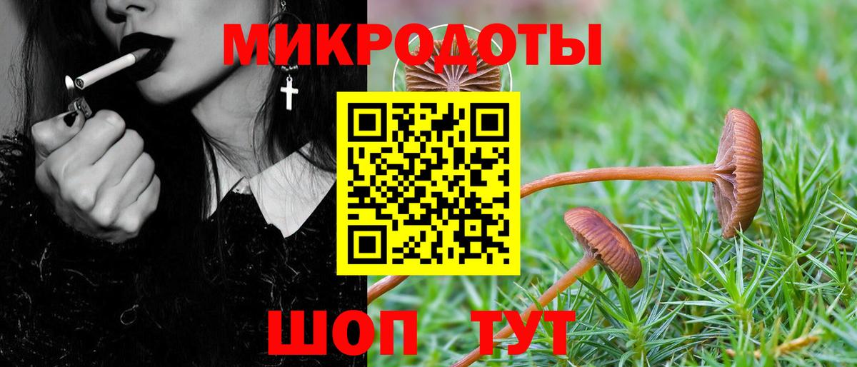 Псилоцибиновые грибы GOLDEN TEACHER  Вход с VPN  Курганинск 