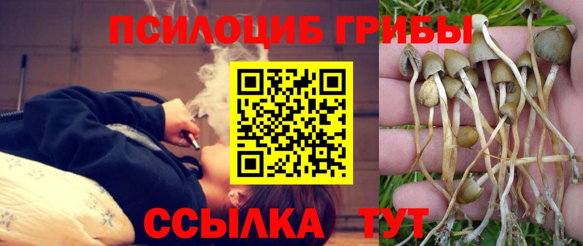  Кокаин Курганинск